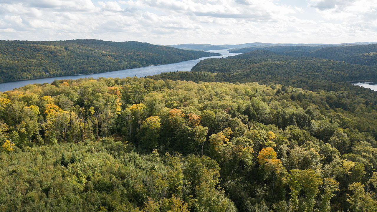 Réserve Faunique des Laurentides - Harvesting a moose for the first time