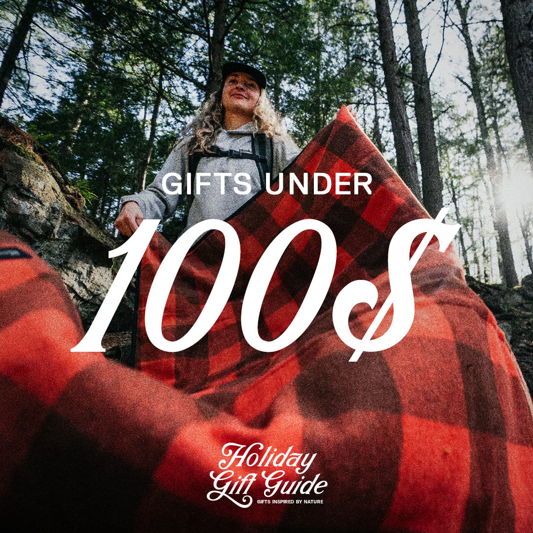 Gifts under 100$