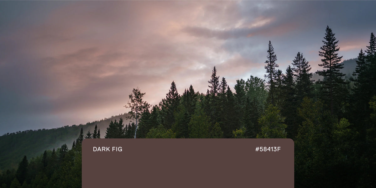 Dark Fig Collection