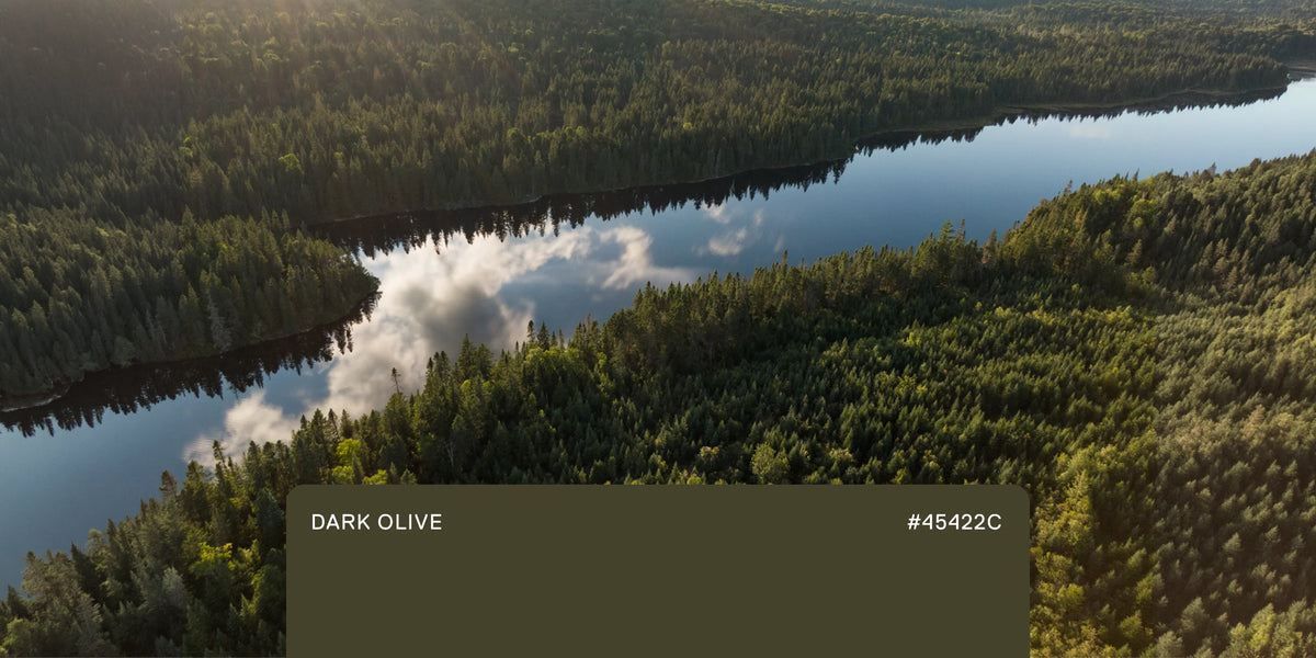 Dark Olive Collection