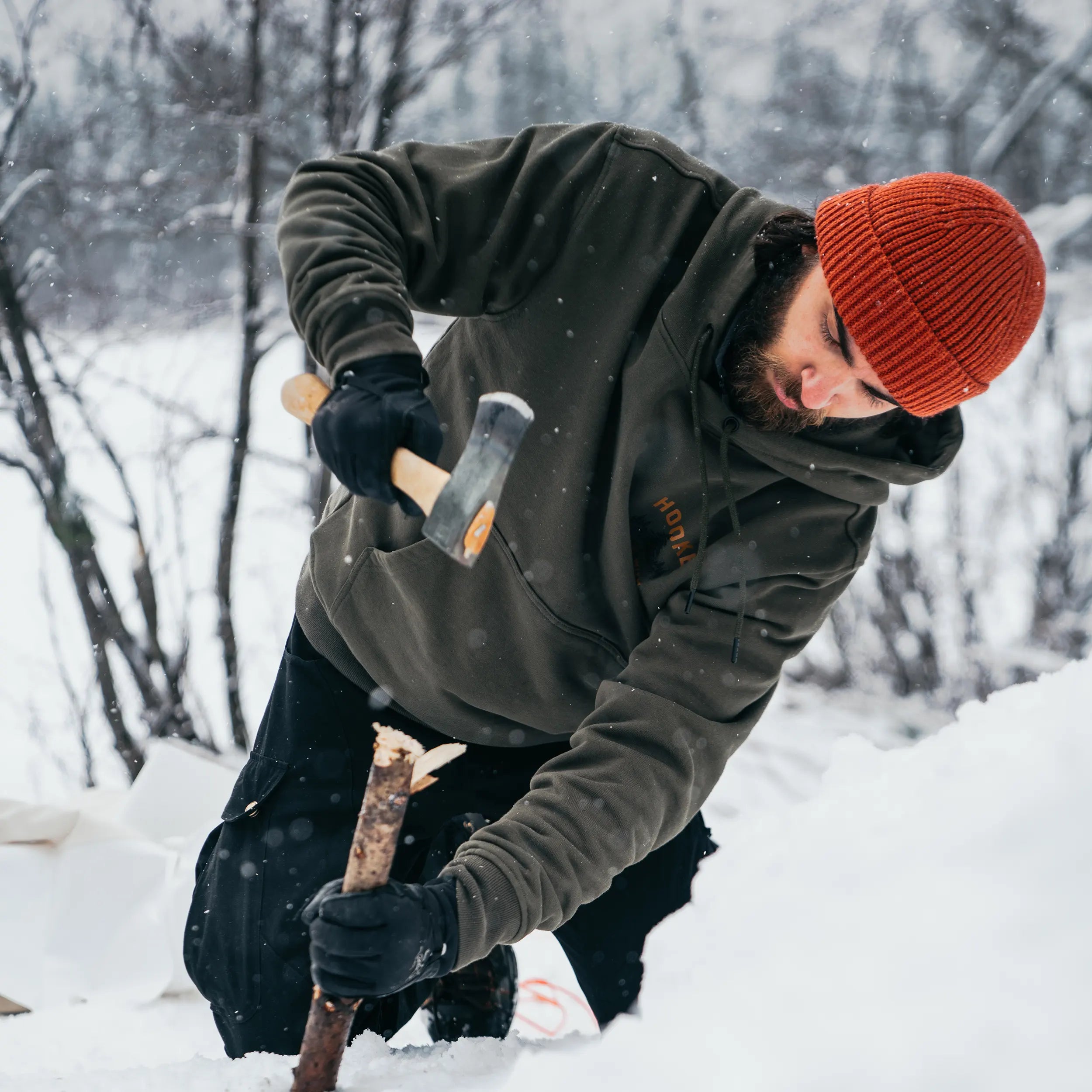 Hoodie Walk With Nature pour homme 