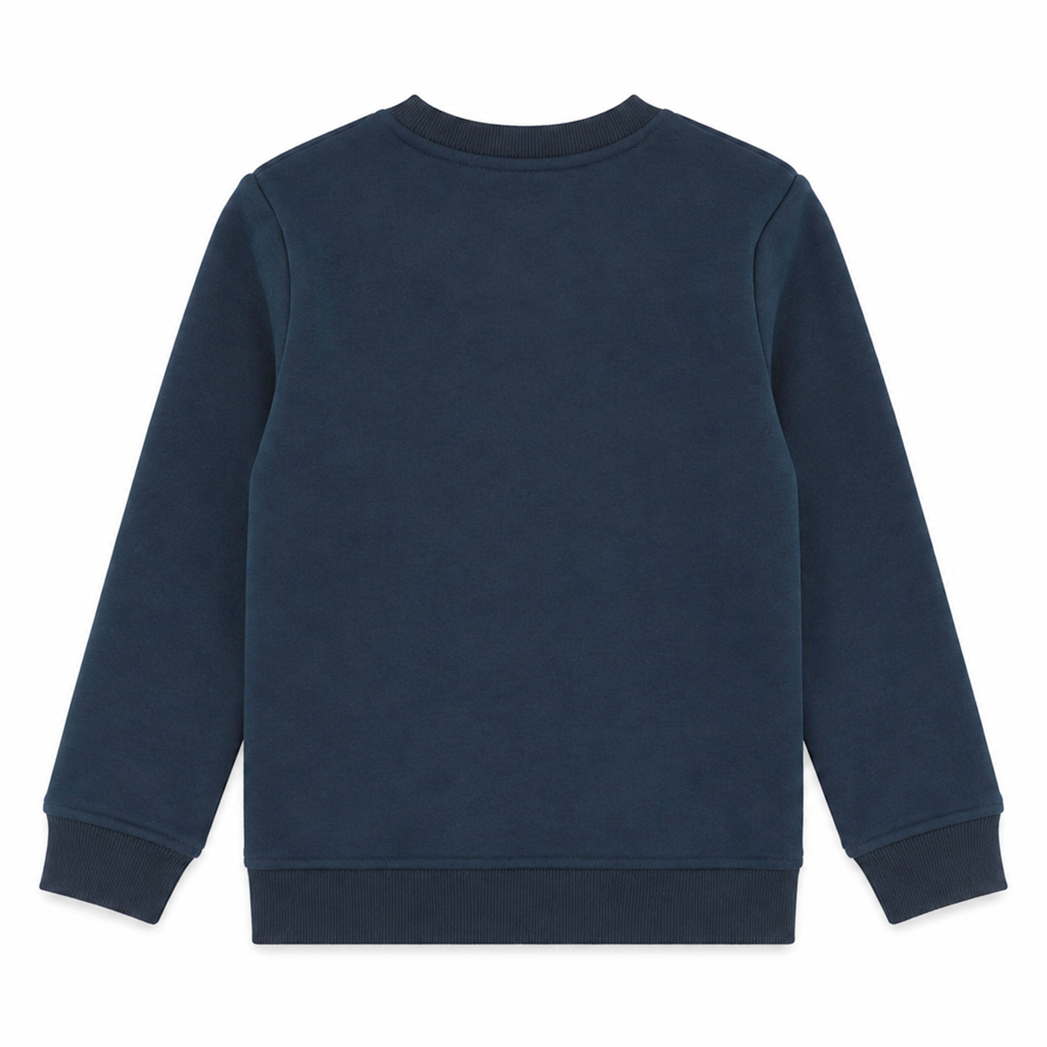 K’s Winter Rockies Crewneck