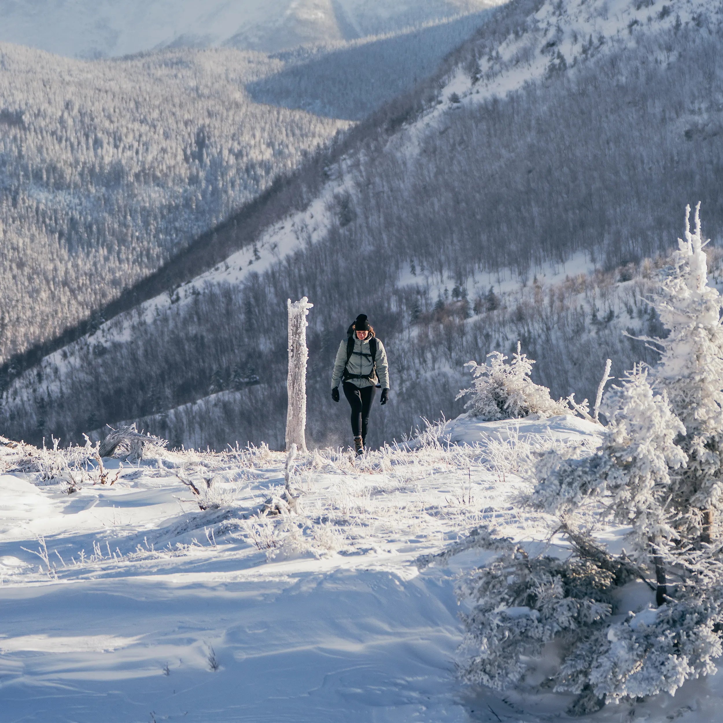 W's Seasonal Lightweight Insulated Hood Jacket