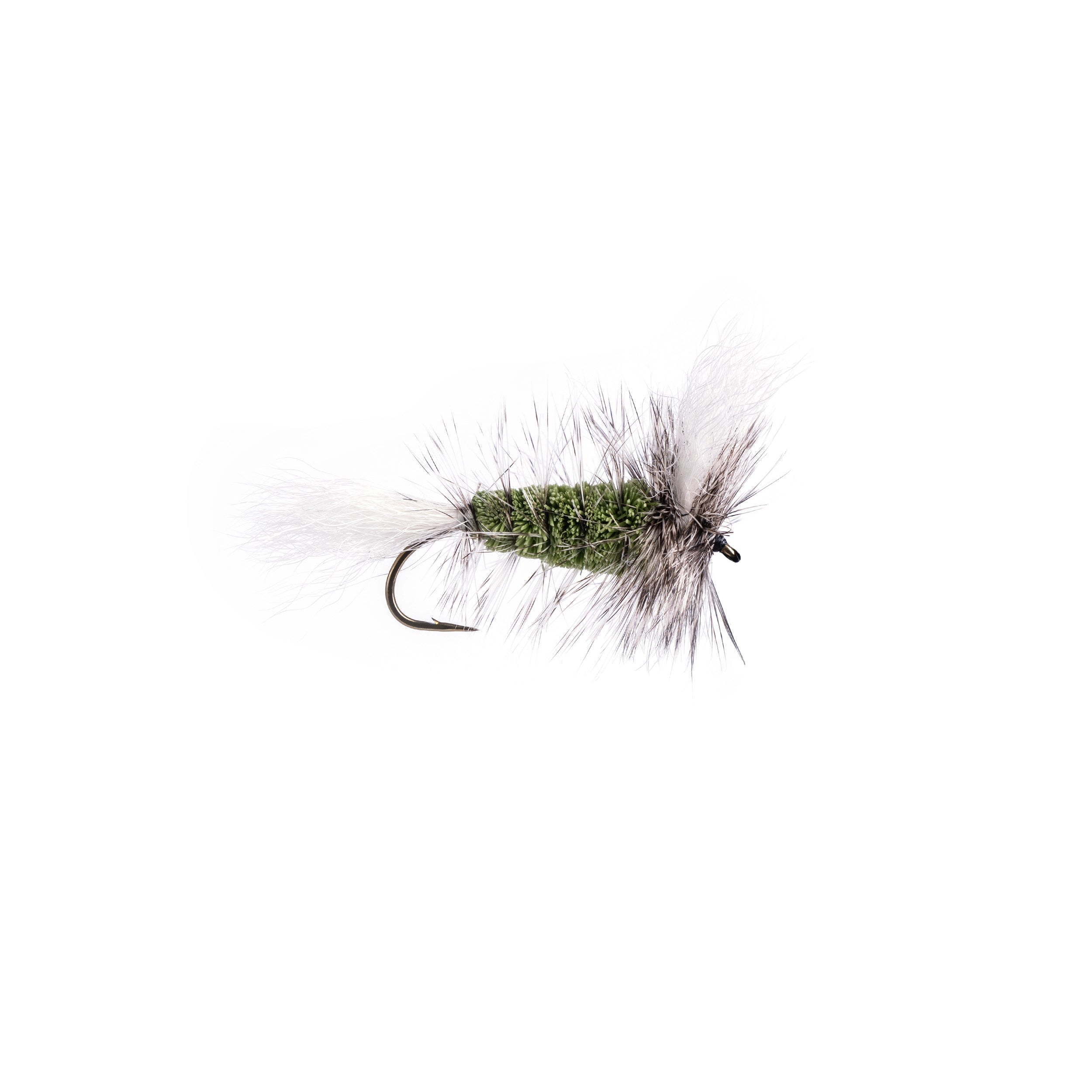 GREEN OLIVE-White Tail-Golden Badger Hackle (Wulff Bomber) - Hooké