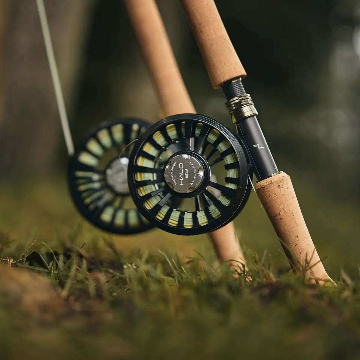 Reels Guide Line Guideline