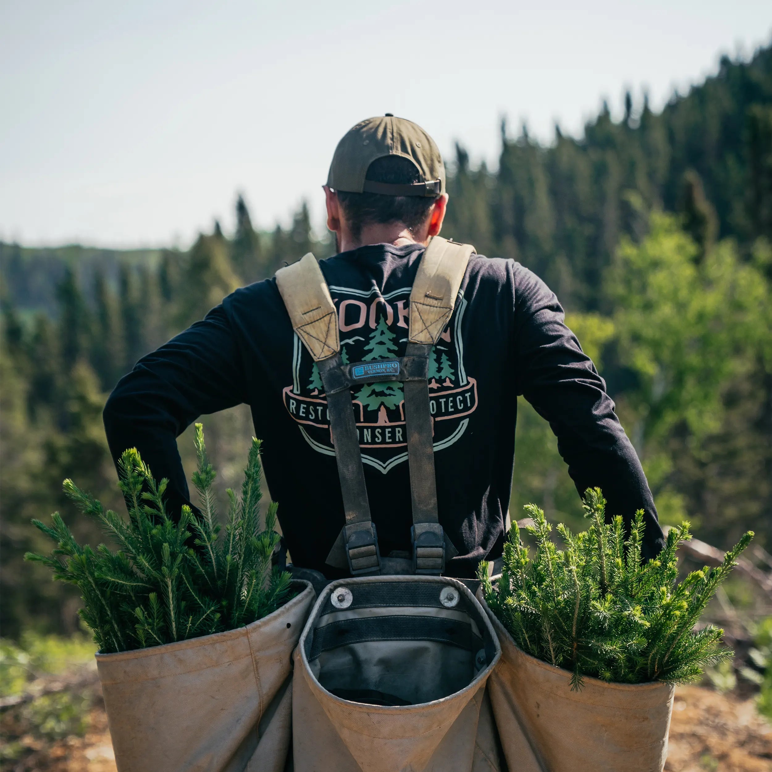 M's Pine Trees Long Sleeve Tee - Hooké