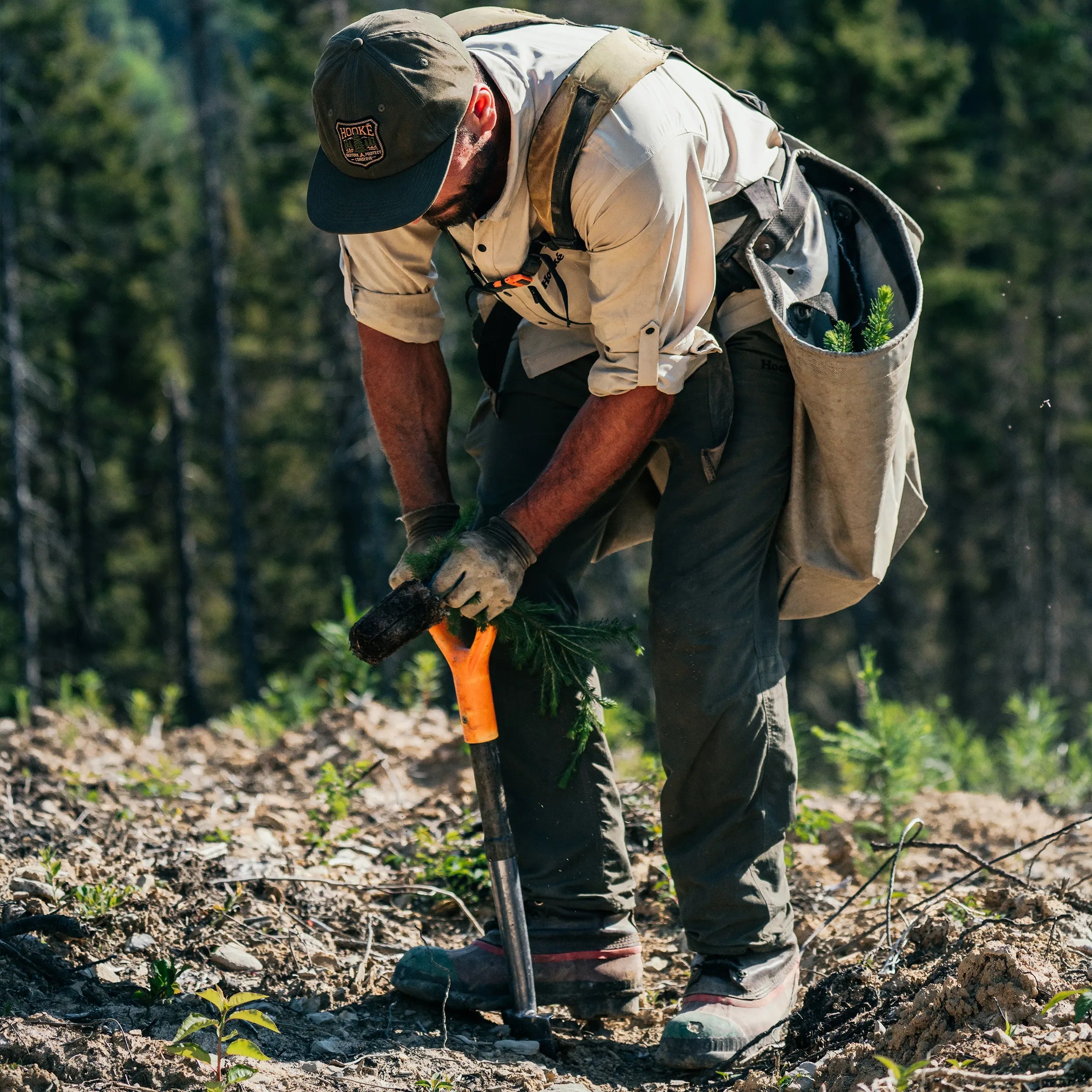 M's Taslan pants - Hooké