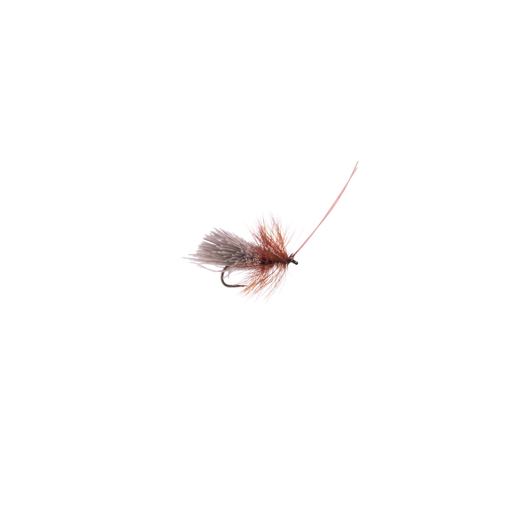 Goddard Caddis - Hooké