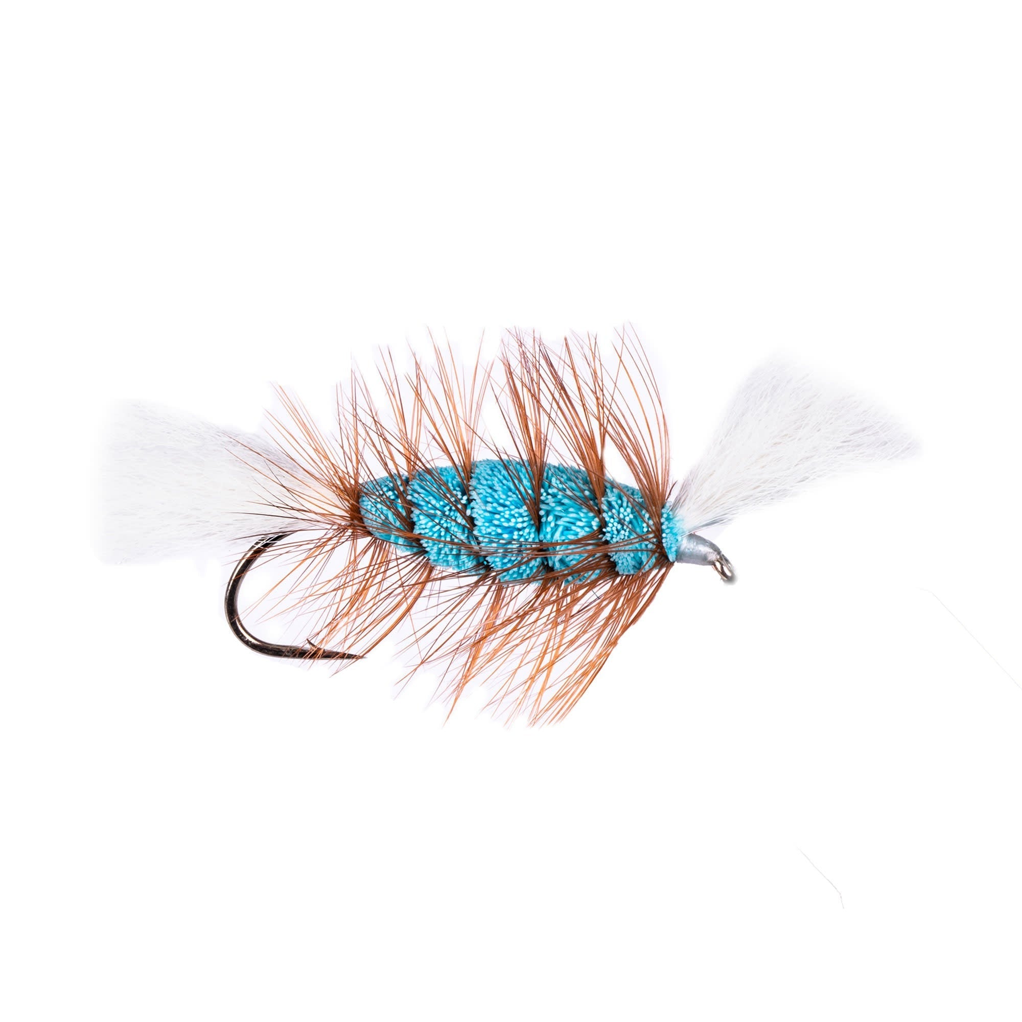 Labatt Blue - White Tail - Brown Hackle (Cigar Bomber) - Hooké