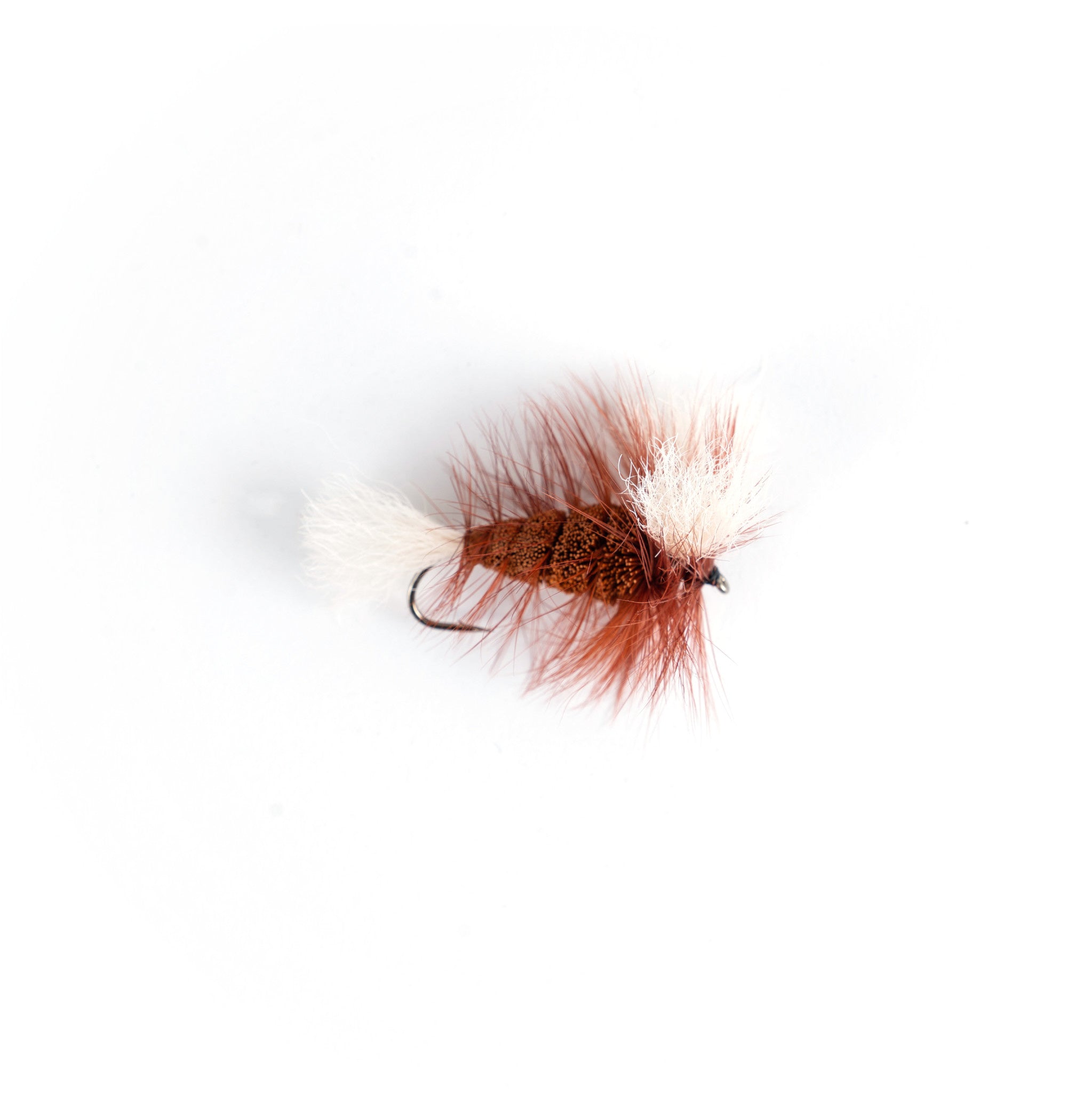 Burned Orange - White Tail - Brown Hackle (Wulff Bomber) - Hooké