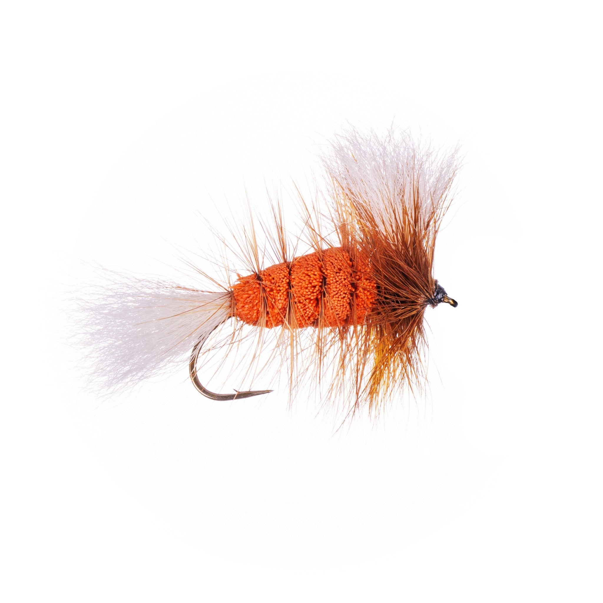 Orange-White Tail-Brown Hackle (Wulff Bomber) - Hooké